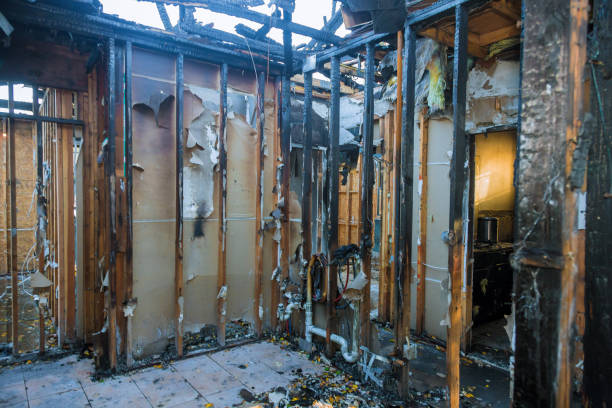 Professional Fire Damage Removal technician working in Niagara University, NY